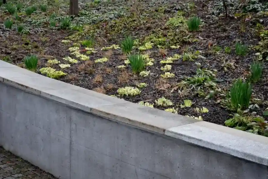 Reputable Retaining Wall Installation Woburn, MA